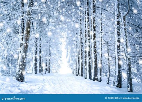 Magical Winter Landscape Path In The Snowy Forest With Falling Snow