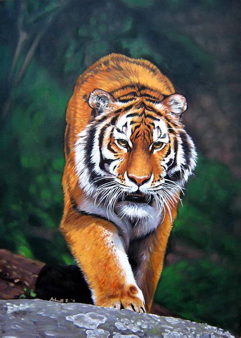 Siberian Tiger Painting By Schmidt Roger Pixels