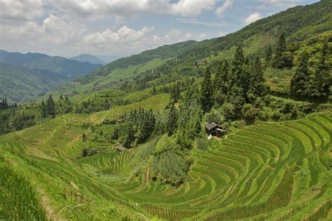 Jongli Rice Terraces In Guilin China Stock Image Image Of Asia