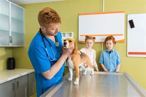 Veterinary Dermatology Expert Shares 3 Facts You Need To Know About