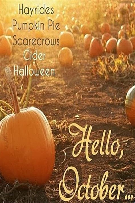 Pin On Hello October Month Quotes
