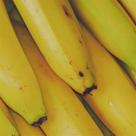Organic Banana Cavendish The Wholefood Pantry Palm Beach