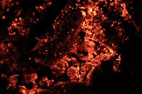 Red Hot Texture Burning Coal Fire Place Photo Texture X