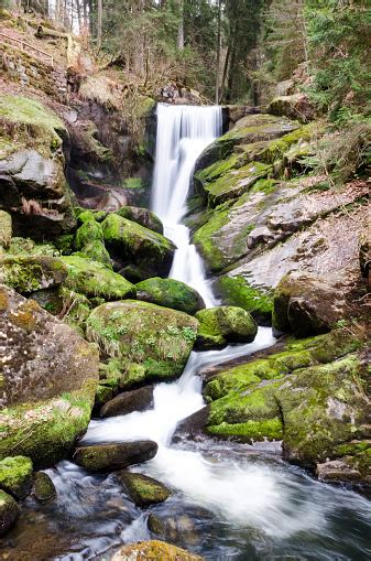 Black Forest Waterfall Stock Photo Download Image Now Black Forest