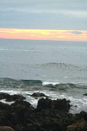Sunset Monterey Bay California Usa Ocean Sky Stock Photo Download