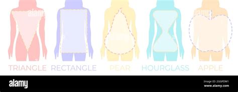 Woman Body Shapes Triangle Rectangle Apple Pear And Hourglass