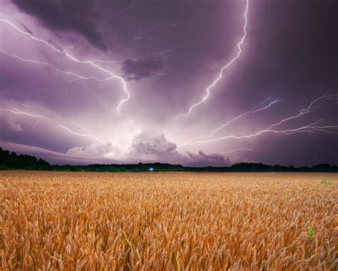 Storm Over Wheat Photograph By Alexey Stiop