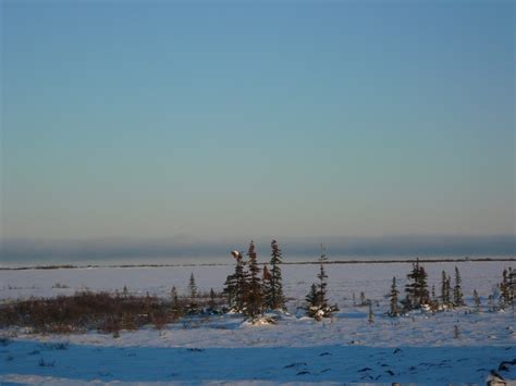Churchill Manitoba Scenery Natural Landmarks Landmarks