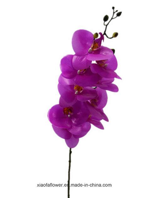 artificial plastic silk flower single stem of orchid xf28001 china flower and artificial