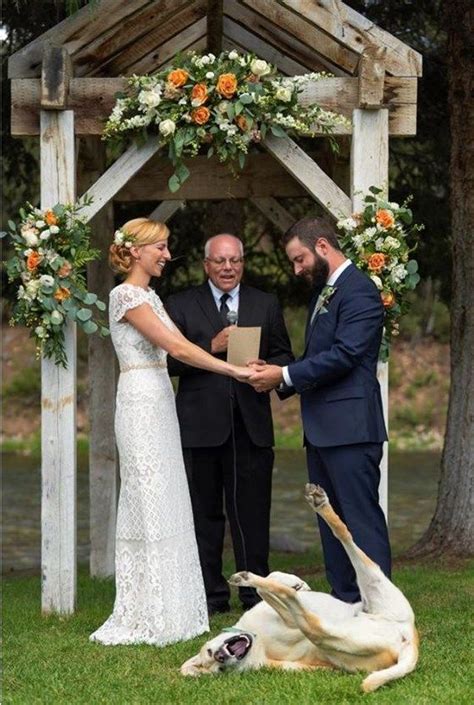 We did not find results for: Photobomb! Dog hilariously steals the spotlight in couple's wedding photo | Funny animals, Happy ...