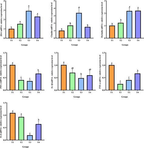 The Expression Levels Of Mrna Of Immunoregulatory Genes And Tight