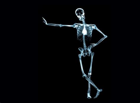 Download Funny Skeleton Glowing Xray Picture