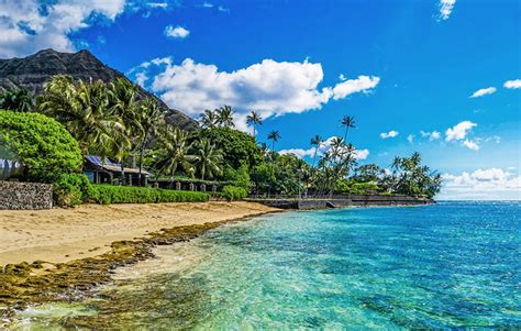 12 Playas Mejor Valoradas En El área De Honolulu Todo Sobre Viajes