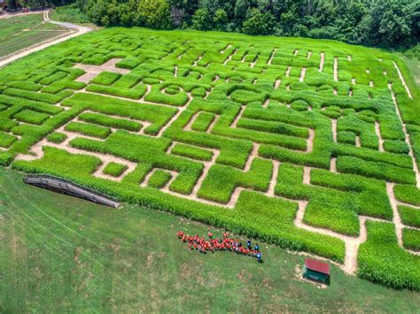 8 Of The Best Fall Corn Mazes In North Carolina In 2017