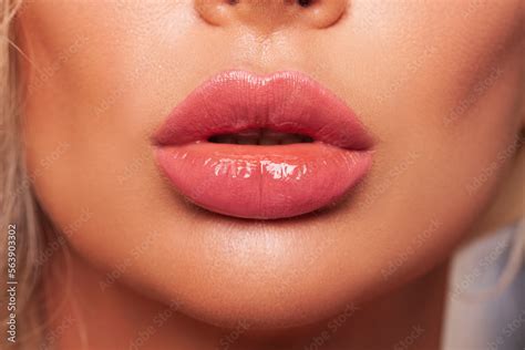 Sexy Plump Lips Close Up Lip Gloss Beautiful Perfect Makeup