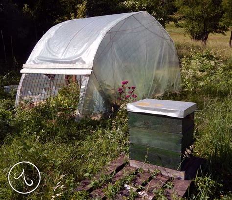 Freestanding greenhouses are complete buildings, standing on their own and usually large enough for gardeners to enter. DIY greenhouse project Make your own greenhouse from the iron building net. Made by: Alkimist ...