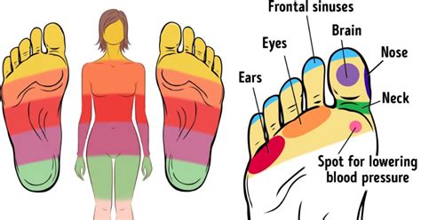 Here Are 21 Points On Your Feet That You Need To Massage For A Better
