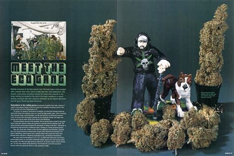 Meet The Eco Gang High Times Nov 2002