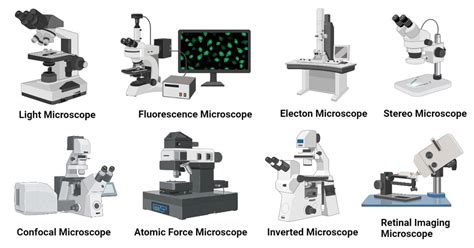 Types Of Microscopes With Parts Functions Diagrams
