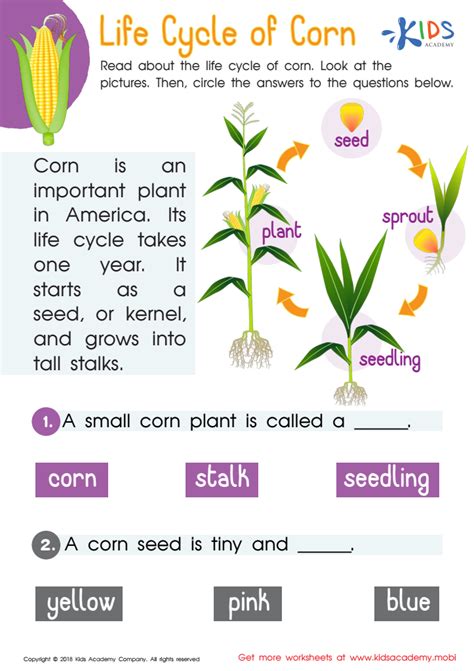 2nd Grade Science Worksheets Word Lists And Activities Greatschools