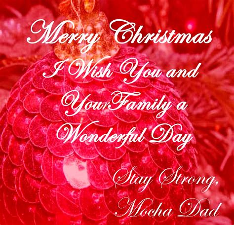 20 Merry Christmas Quotes 2014 Picshunger