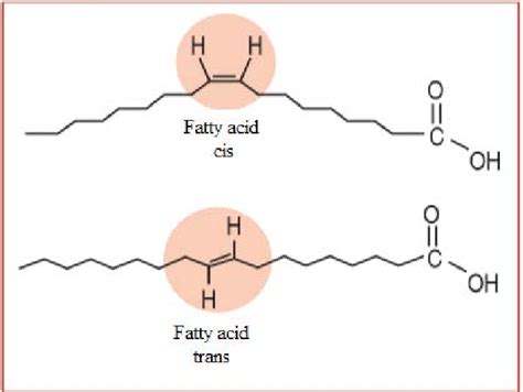 Illustration Of O Cis Unsaturatel Fatty Acid And A Trans Unsaturated