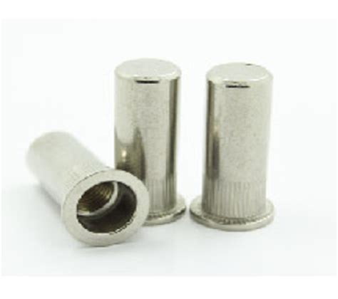 Flat Head Round Body Plain Close End Blind Rivet Nuts Manufacturer Supplier From Bangalore India
