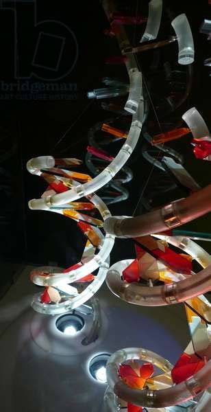 Image Of Model Of The Dna Double Helix