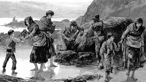 Great Famine Definition History Causes And Facts
