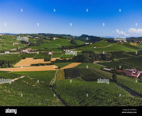 The Vineyards On The Langhe Hills Seen From La Morra Piedmont Italy