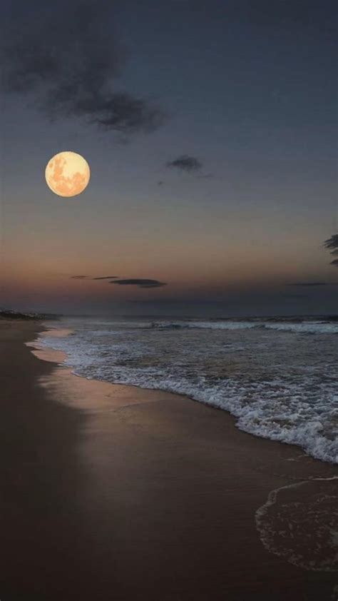 Beach Moon An Immersive Guide By Mlslth