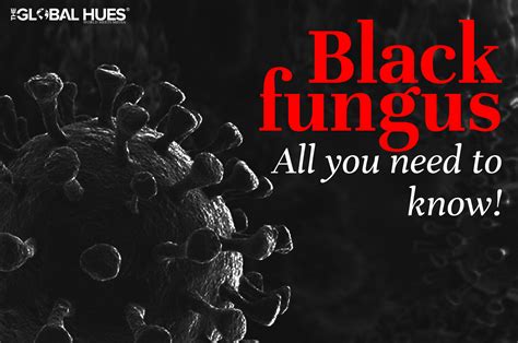Black Fungus All You Need To Know About It The Global Hues