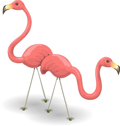 Flamingos Birds Pink · Free Vector Graphic On Pixabay