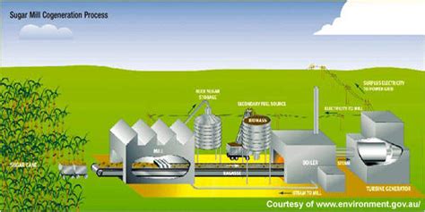 Rocky Point Cogeneration Biomass Power Plant Australia Power Technology