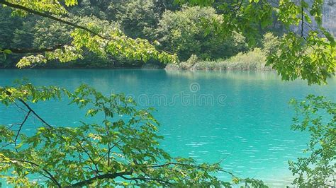 Blue Lake Stock Image Image Of Water Nature Tree Peacefull 43880909