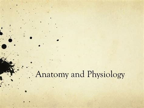 Ppt Anatomy And Physiology Powerpoint Presentation Free Download