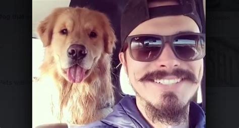 Shared Happiness Dog Smiles When His Person Sm