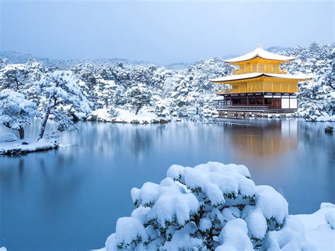 Kinkakuji Temple Winter Kyoto Japan 2020 Bing Hd Desktop Preview