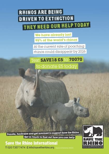 Help Save The Rhino Connect Africaconnect Africa