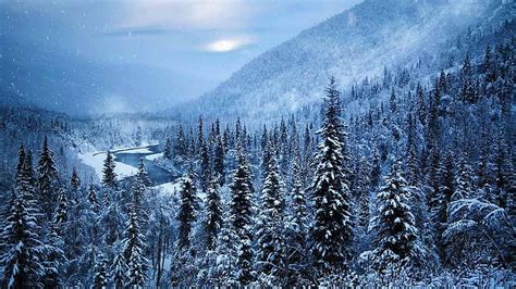 Hd Wallpaper Snow Winter River Alaska Mountains Mist Forest
