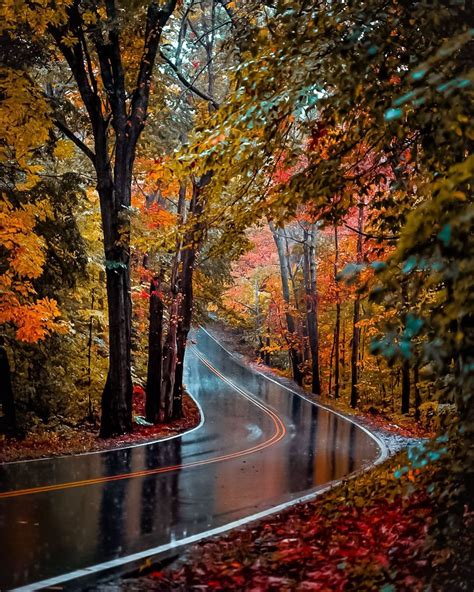 Newenglander On Instagram Another Rain Soaked Road 🍁 ️🍁