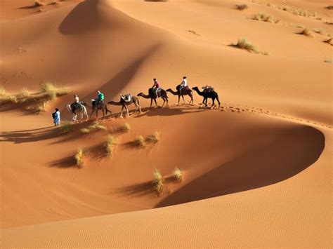 Voyage Au Coeur Du Désert Tunisien Desert Tour Desert Oasis Image