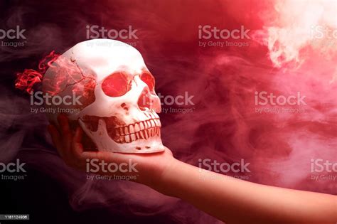 Hand Holding Human Skull Stock Photo Download Image Now Abstract