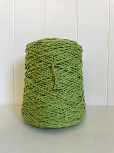 Coloured 1ply Cotton Warping Macrame Crochet String 15mm Apple Gr