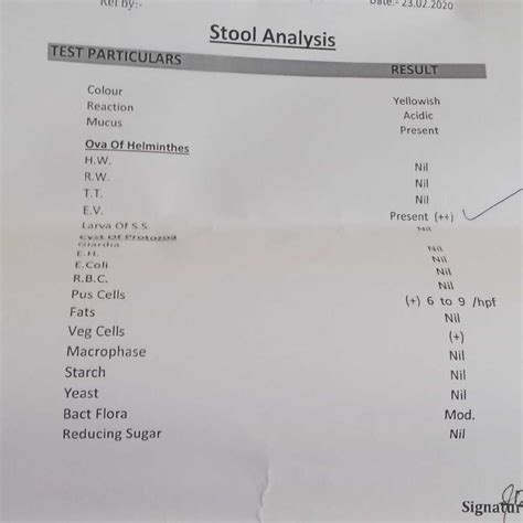 Hello Doctors In Stool Test Ev Stands For What My Baby Stool Report