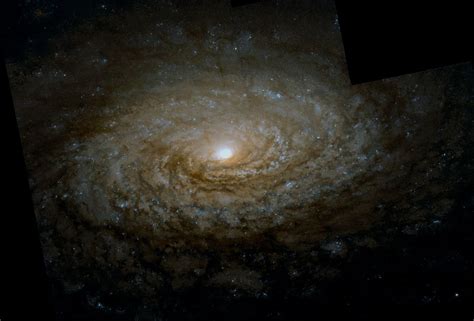 The Sunflower Galaxy Facts About Messier 63 The Planets