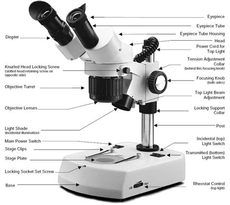 It consists of simple parts and performs simple functions. Choosing a Microscope | Make: DIY Projects and Ideas for ...