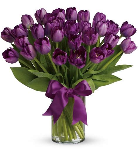 Passionate Purple Tulips Lindas Flowers