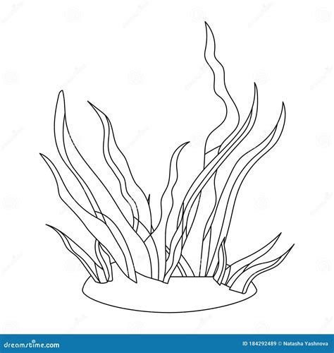 Algae Coloring Pages