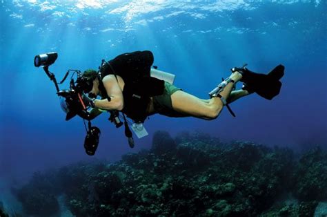 Care And Feeding Of Underwater Photo Gear All At Sea Caribbean
